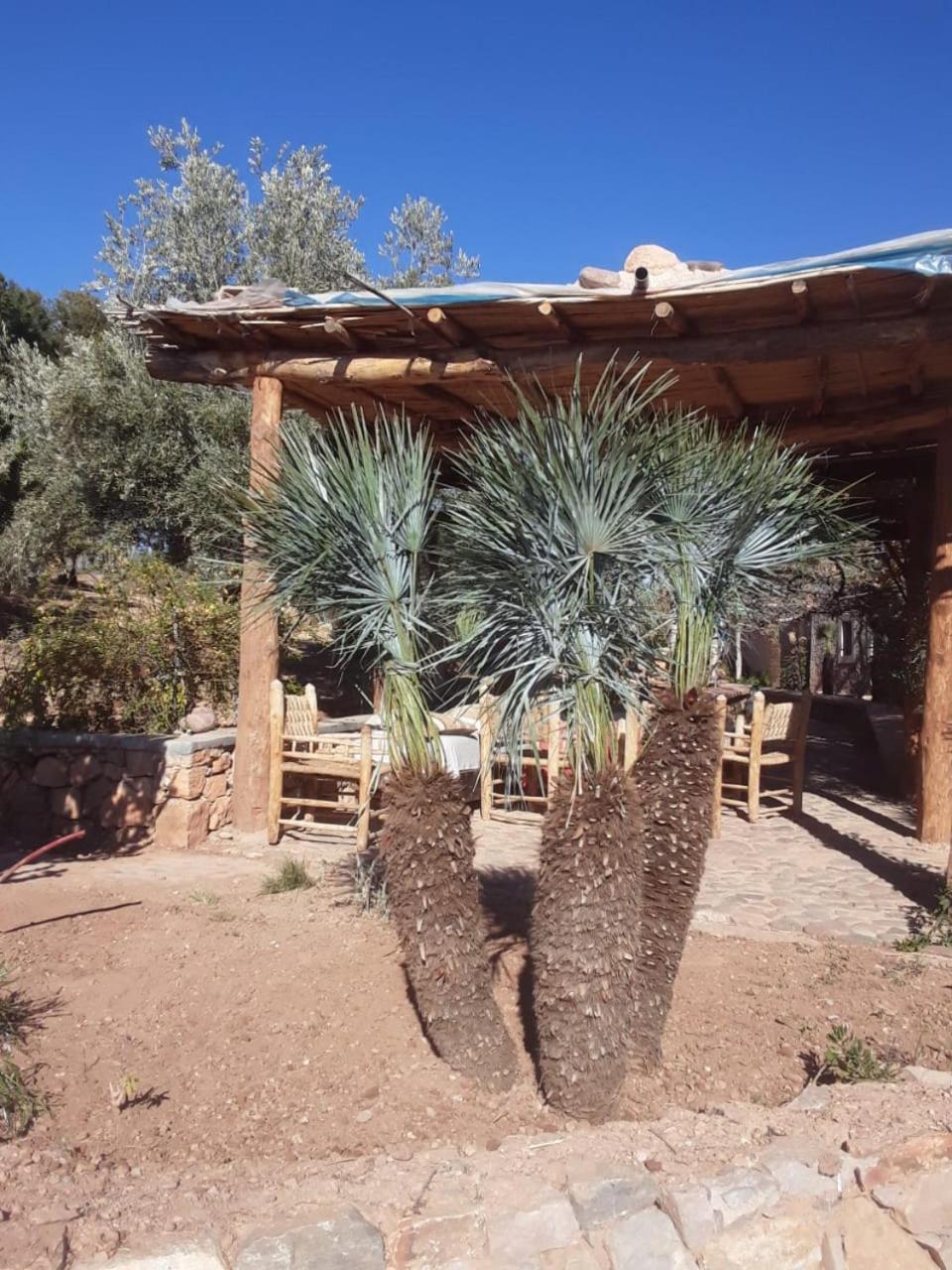 Kasbah Timdaf Hotel Demnate Buitenkant foto