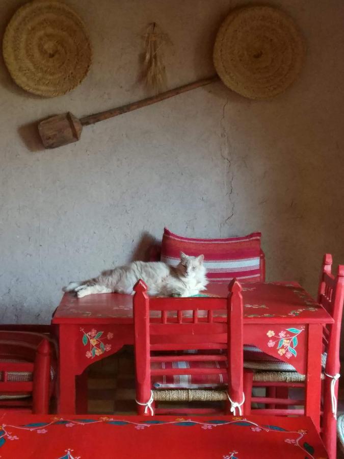 Kasbah Timdaf Hotel Demnate Buitenkant foto